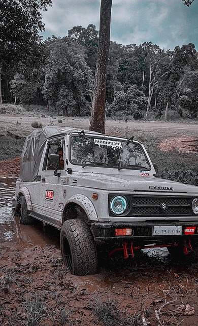 体的发展具 体的发展具