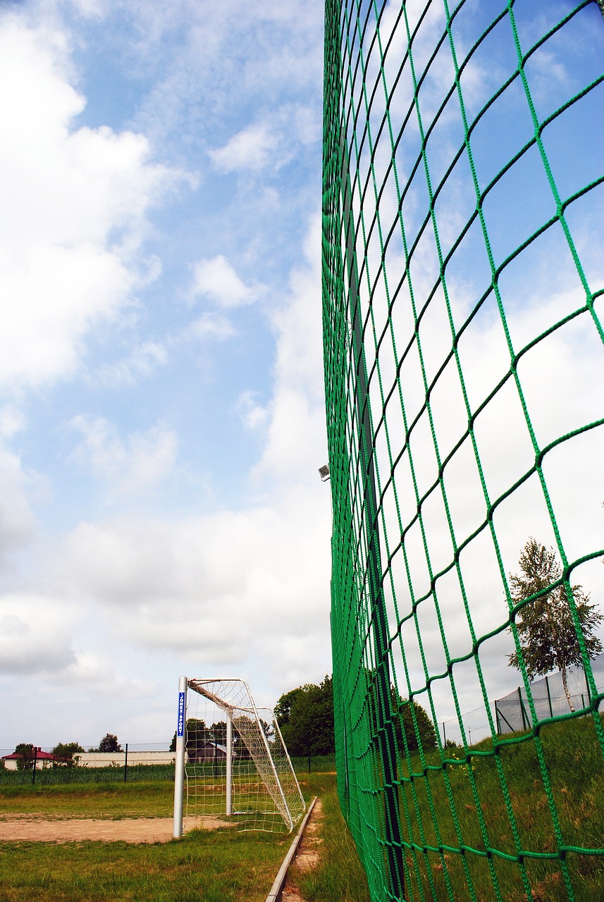 事却引发了 事却引发了