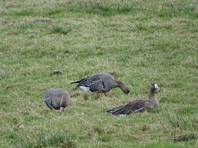 更是得來不 更是得來不