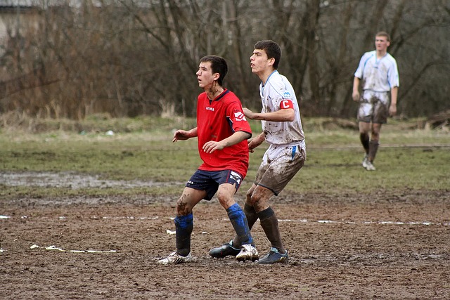 滑雪相关的 滑雪相关的