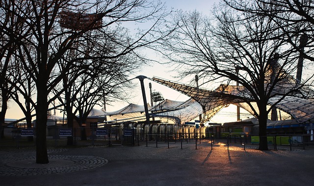 他的场内表 他的场内表