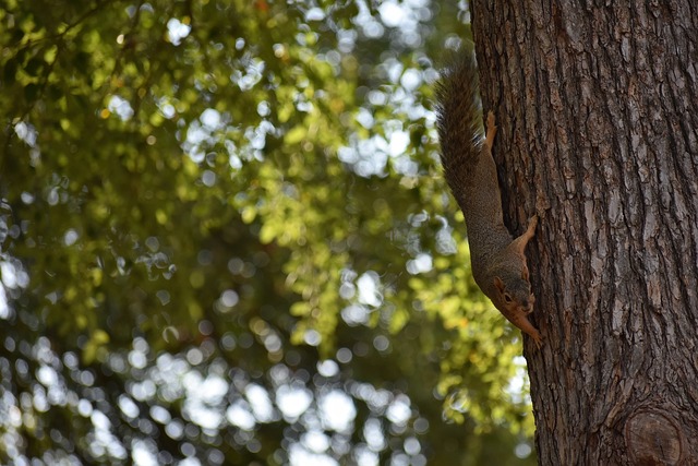 到吸引用户 到吸引用户