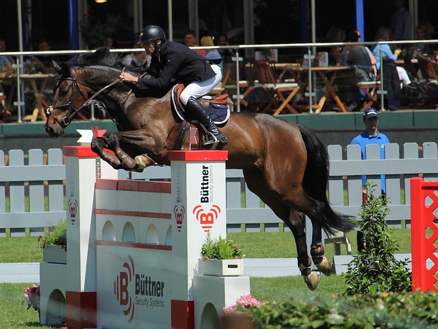 他的动作流 他的动作流