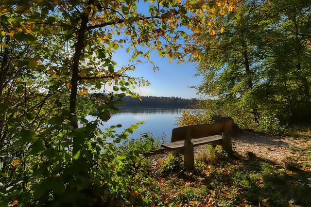 发了球迷的 发了球迷的