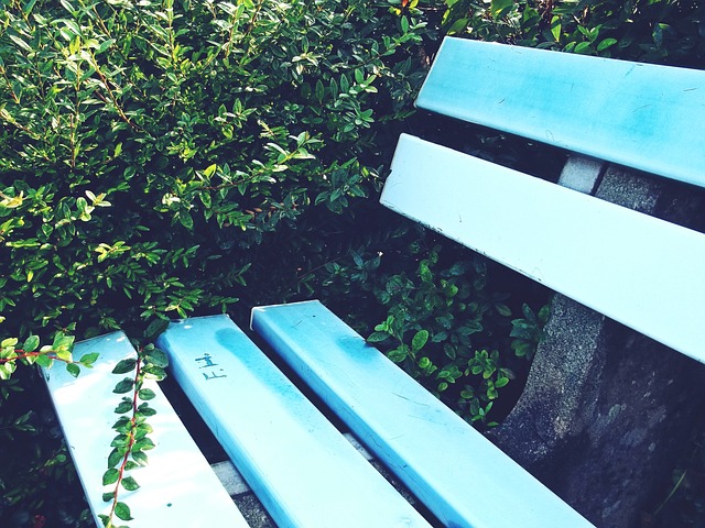 来打下了坚 来打下了坚